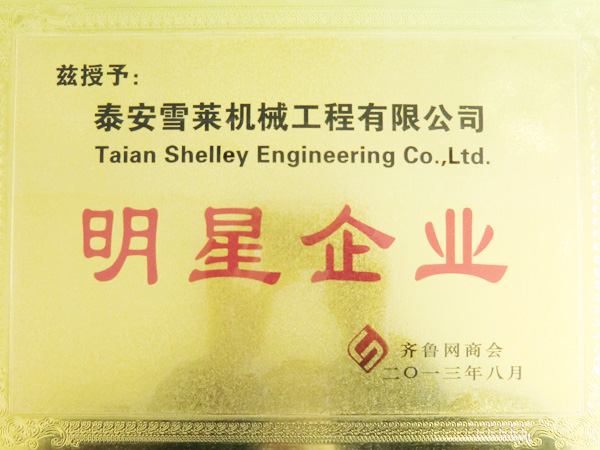 齊魯商會明星企業(yè)