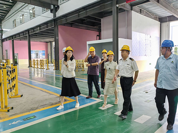 海關和貿(mào)促會領導蒞臨山東雪萊工廠參觀考察，泰安電視臺跟蹤采訪